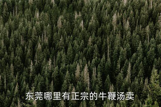 東莞哪里的燉湯好，東莞虎門哪里的湯好喝