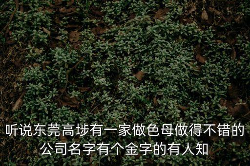 聽說東莞高埗有一家做色母做得不錯的公司名字有個金字的有人知