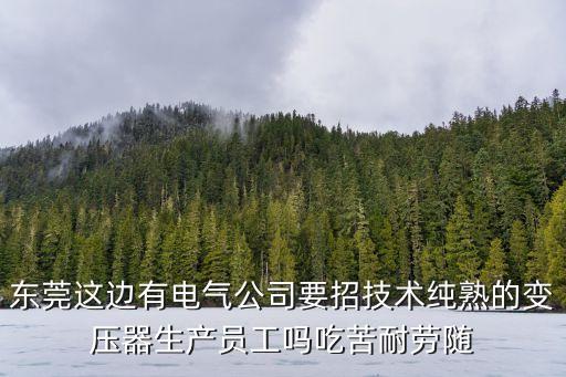 東莞這邊有電氣公司要招技術(shù)純熟的變壓器生產(chǎn)員工嗎吃苦耐勞隨