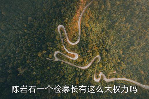 陳巖石一個檢察長有這么大權力嗎
