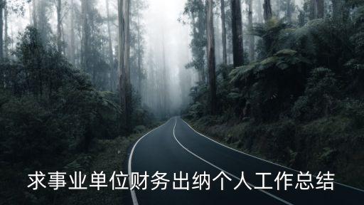 求事業單位財務出納個人工作總結