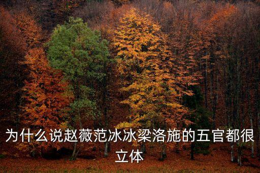 梁洛施面相，梁洛施什么臉型