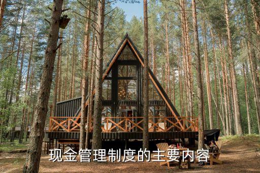 現金管理辦法，關于現金管理暫行條例
