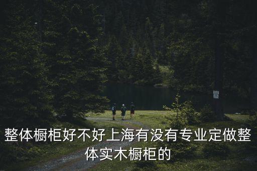 整體櫥柜好不好上海有沒有專業(yè)定做整體實木櫥柜的