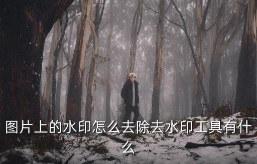 圖片上的水印怎么去除去水印工具有什么