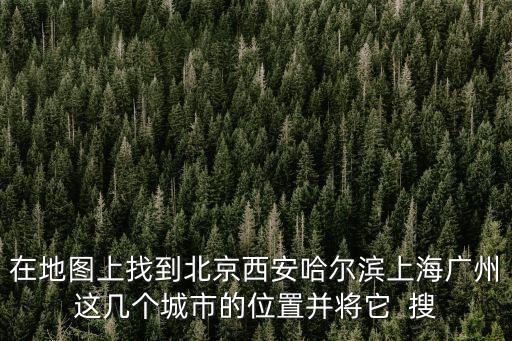 九幾年上海市地圖，2009上海市交通地圖的編輯推薦