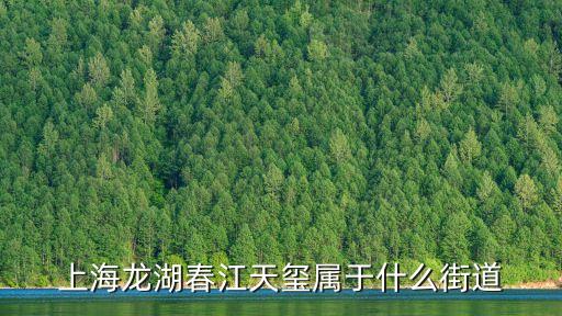 上海龍湖春江天璽屬于什么街道