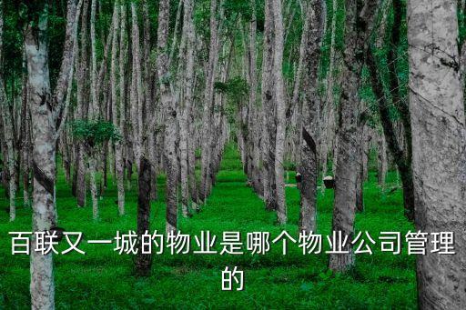 百聯又一城的物業是哪個物業公司管理的