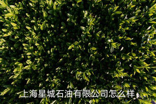 上海星城石油有限公司怎么樣