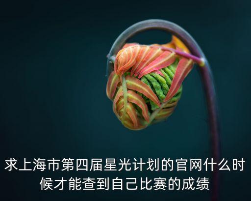 求上海市第四屆星光計劃的官網什么時候才能查到自己比賽的成績