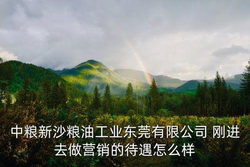 東莞中糧怎么樣，請(qǐng)問中紡糧油東莞有限公司工作環(huán)境如何