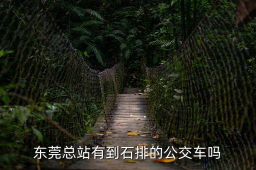 東莞總站到石排公交車，從東莞車站到石排能坐哪些車