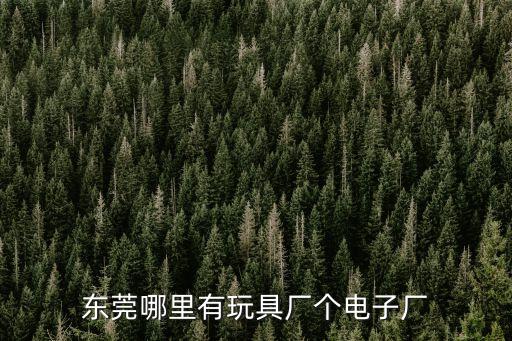 東莞哪里有玩具廠個電子廠