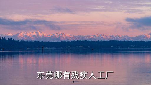 東莞哪有殘疾人工廠