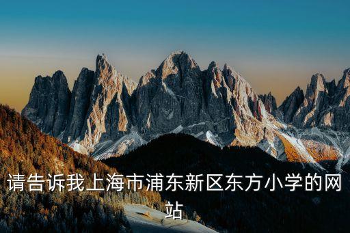請告訴我上海市浦東新區東方小學的網站