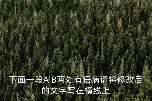 下面一段A B兩處有語病請將修改后的文字寫在橫線上