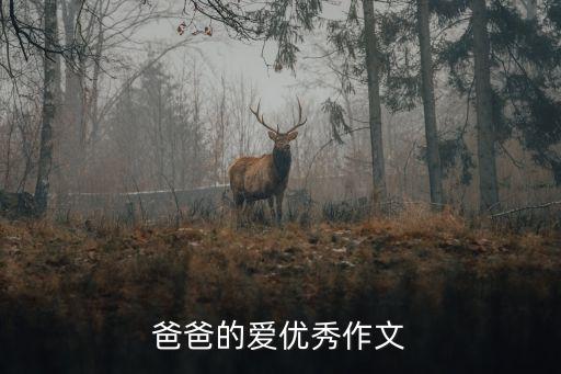 爸爸的愛作文，父親的愛 作文