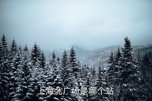 上海市北洪幫主，上海北廣場打的到城隍廟多少錢
