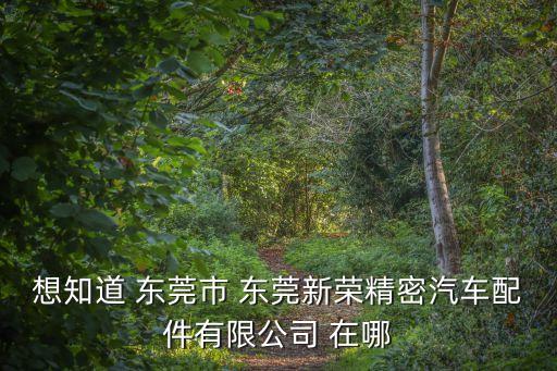 想知道 東莞市 東莞新榮精密汽車配件有限公司 在哪