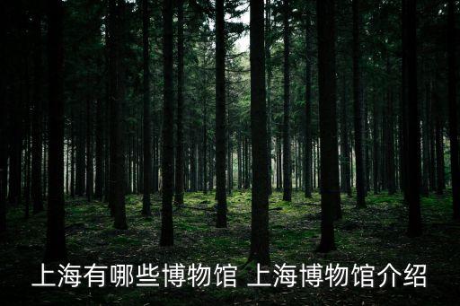 十一旅行之上海市博物館愛奇藝，十一旅游