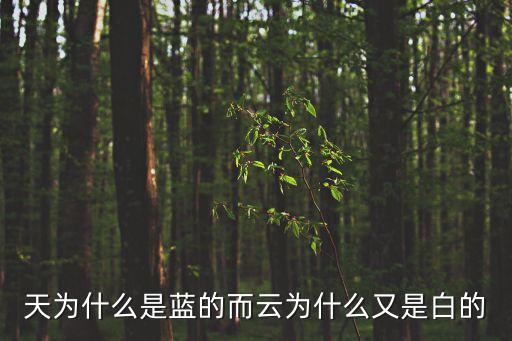 天為什么是藍(lán)的而云為什么又是白的