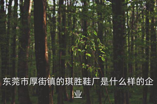 東莞市厚街鎮(zhèn)的琪勝鞋廠是什么樣的企業(yè)