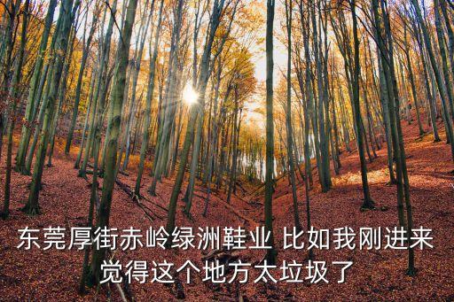 東莞厚街赤嶺綠洲鞋業 比如我剛進來覺得這個地方太垃圾了