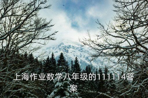 上海市靜教院附中作業，上海作業數學六年級上3233頁答案