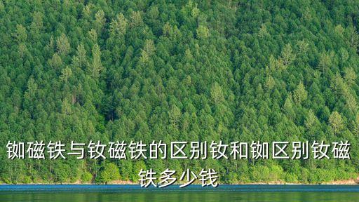 銣磁鐵與釹磁鐵的區別釹和銣區別釹磁鐵多少錢