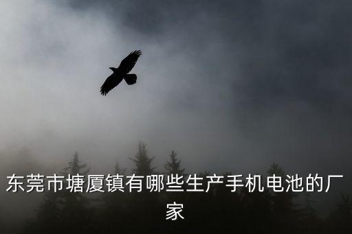 東莞市塘廈鎮有哪些生產手機電池的廠家