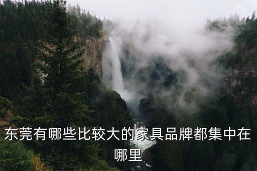 東莞有哪些比較大的家具品牌都集中在哪里