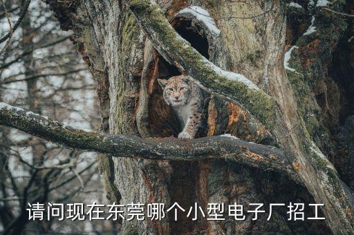 請(qǐng)問(wèn)現(xiàn)在東莞哪個(gè)小型電子廠(chǎng)招工