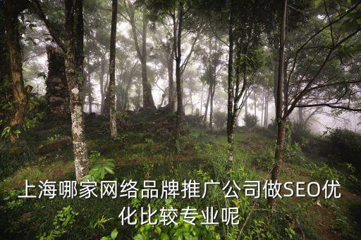 上海市推廣策劃，上海哪家網絡品牌推廣公司做SEO優化比較專業呢