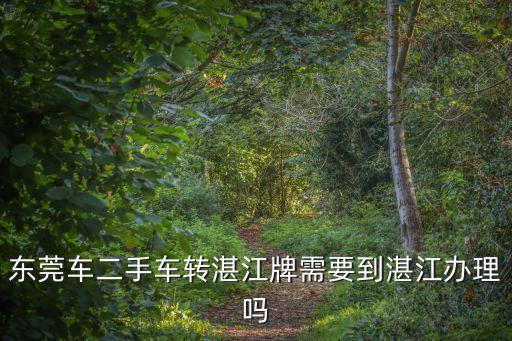 東莞車二手車轉湛江牌需要到湛江辦理嗎
