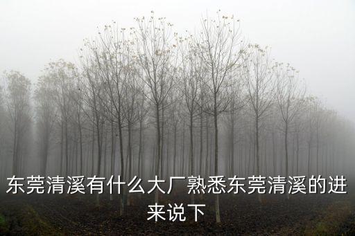 東莞清溪有什么大廠熟悉東莞清溪的進來說下