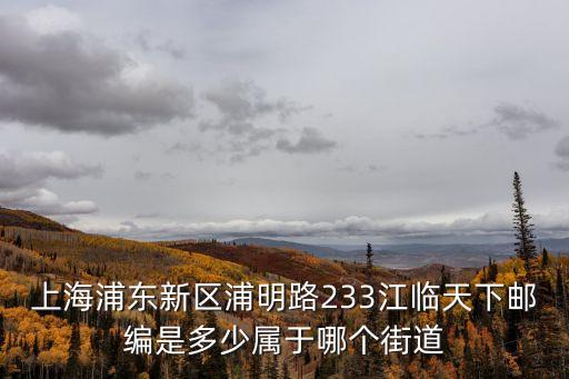 上海市浦明路233弄1號，想知道 上海市 名華貿易有限公司 在哪