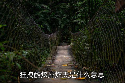 狂拽酷炫屌炸天是什么意思