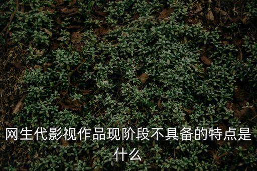 網生代影視作品現階段不具備的特點是什么