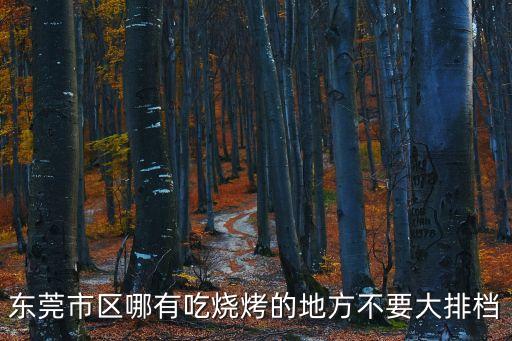 東莞市區(qū)哪有吃燒烤的地方不要大排檔