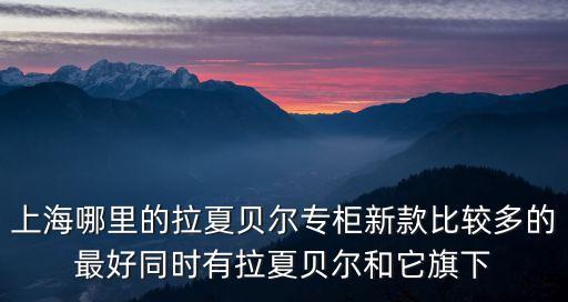 上海市拉夏貝爾審計機構，上海拉夏貝爾是什么公司呢