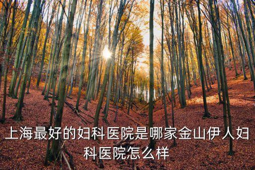 上海最好的婦科醫院是哪家金山伊人婦科醫院怎么樣