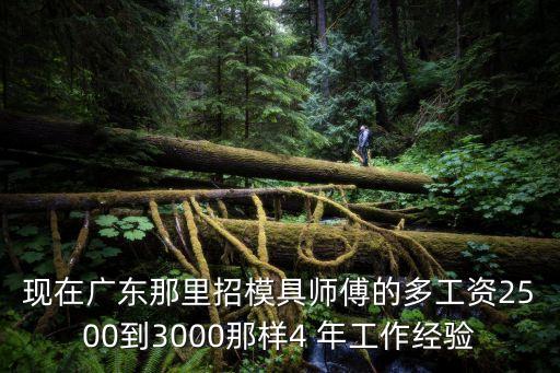 東莞橋頭那里招壓鑄模具師傅，東莞哪里招壓鑄工請(qǐng)各位師傅幫我介紹一個(gè)