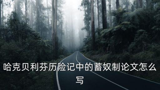 哈克貝利芬歷險記中的蓄奴制論文怎么寫