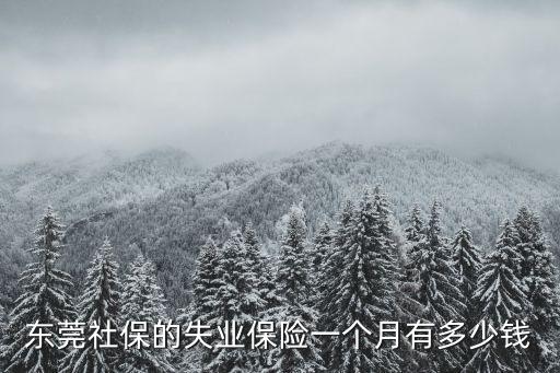 東莞社保的失業保險一個月有多少錢