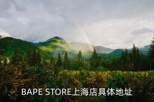 上海市和日壽喜燒城新天地店，BAPE STORE上海店具體地址