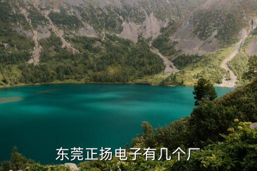 東莞正揚電子有幾個廠