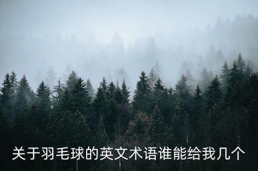 關于羽毛球的英文術語誰能給我幾個