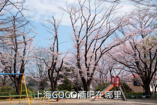 上海GOGO酒吧在哪里