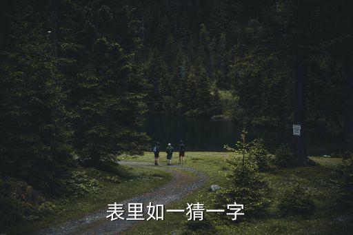 表里如一打一字謎，表里如一猜一字