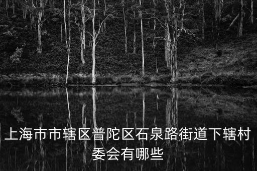 上海市市轄區普陀區石泉路街道下轄村委會有哪些